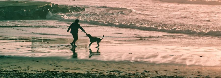 A dog and man playing on the beach.